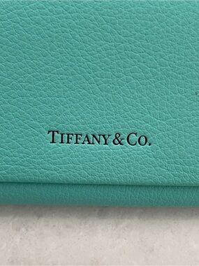 Tiffany & Co. Turquoise Leather Glasses Case with Black Logo, EUC